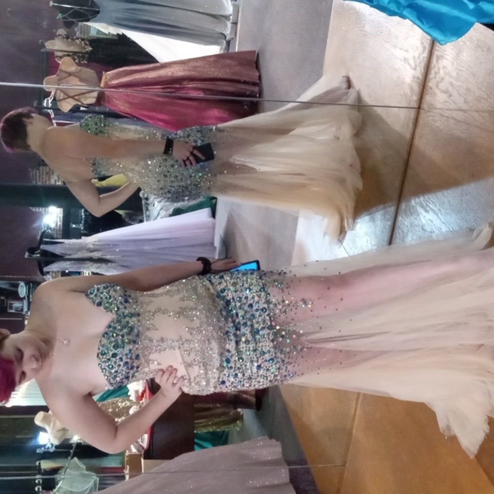 Envious by Karishma size 10 prom